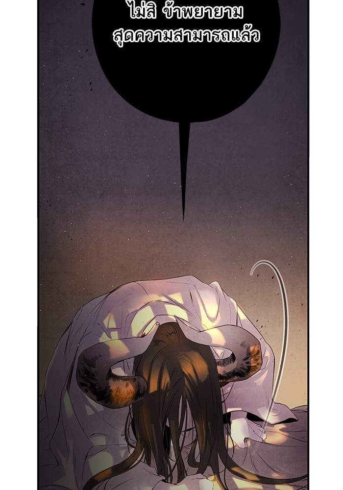 7 (39)