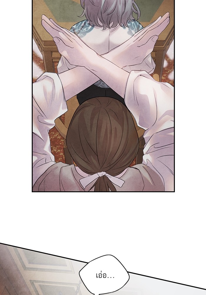 11 (41)