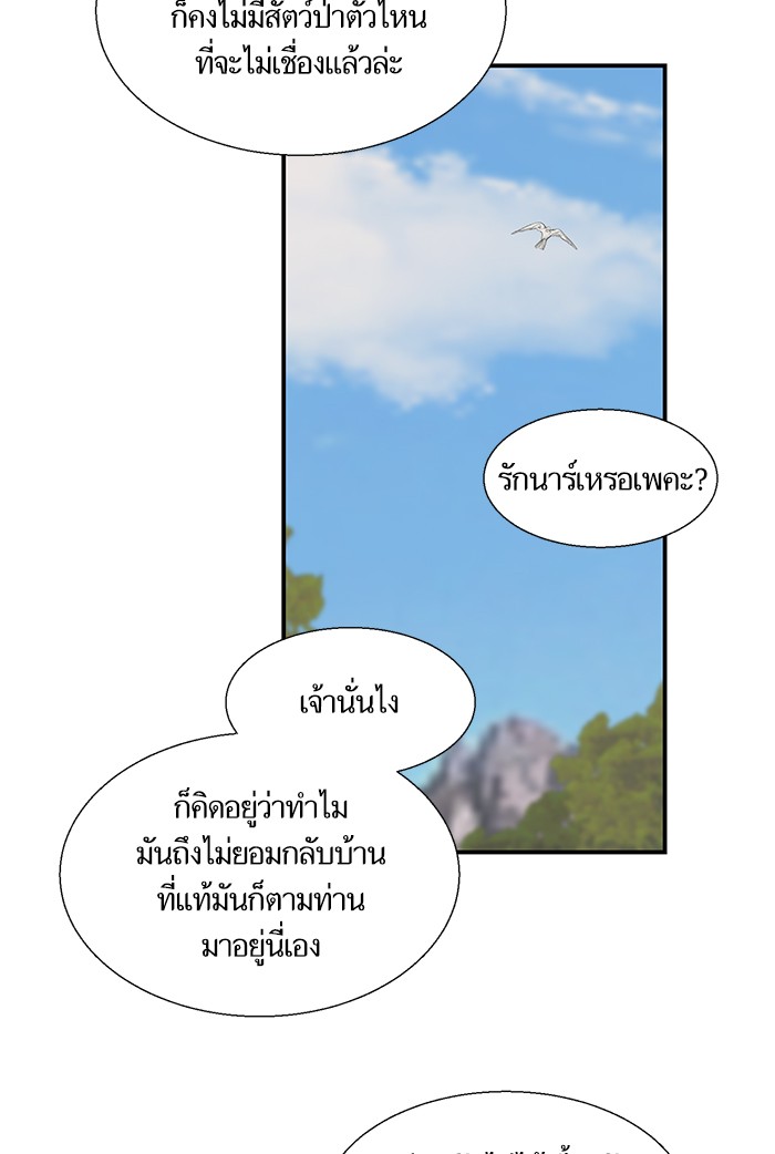 crows like shiny thing 5 67