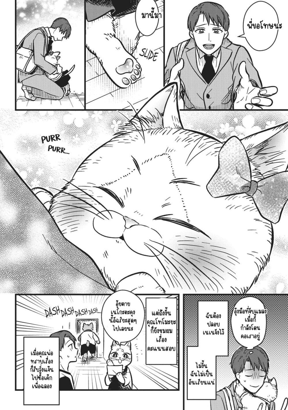 My Sister, the Cat ตอนที่ 1 (12)