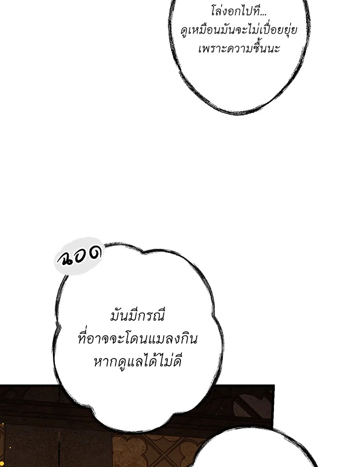 The Lady’s Secret 24 014