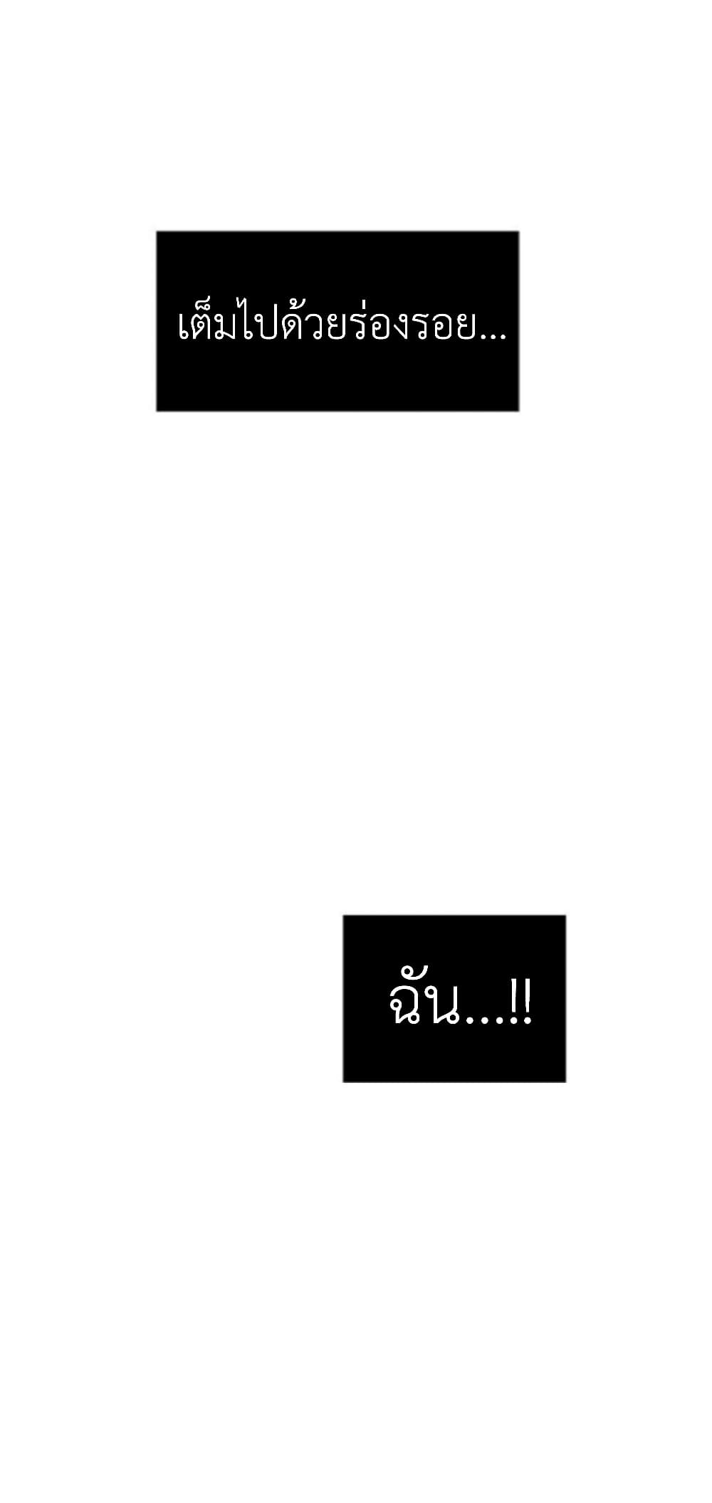 Olgami 24 48