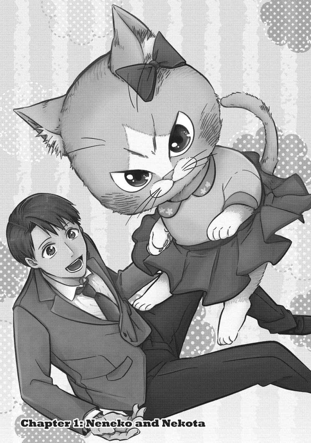 My Sister, the Cat ตอนที่ 1 (1)
