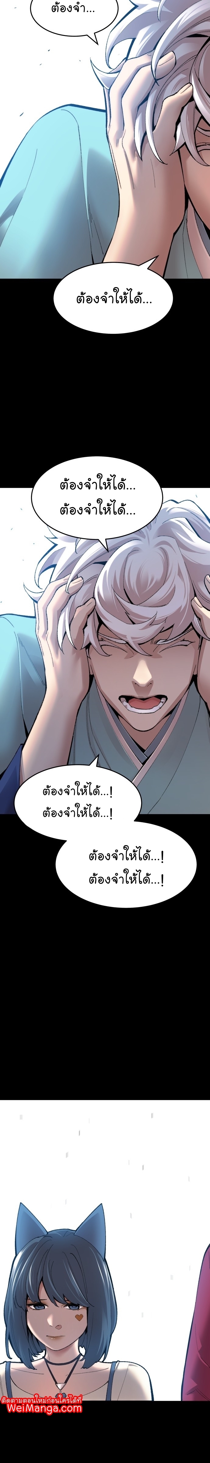 limit 81 (07) 002