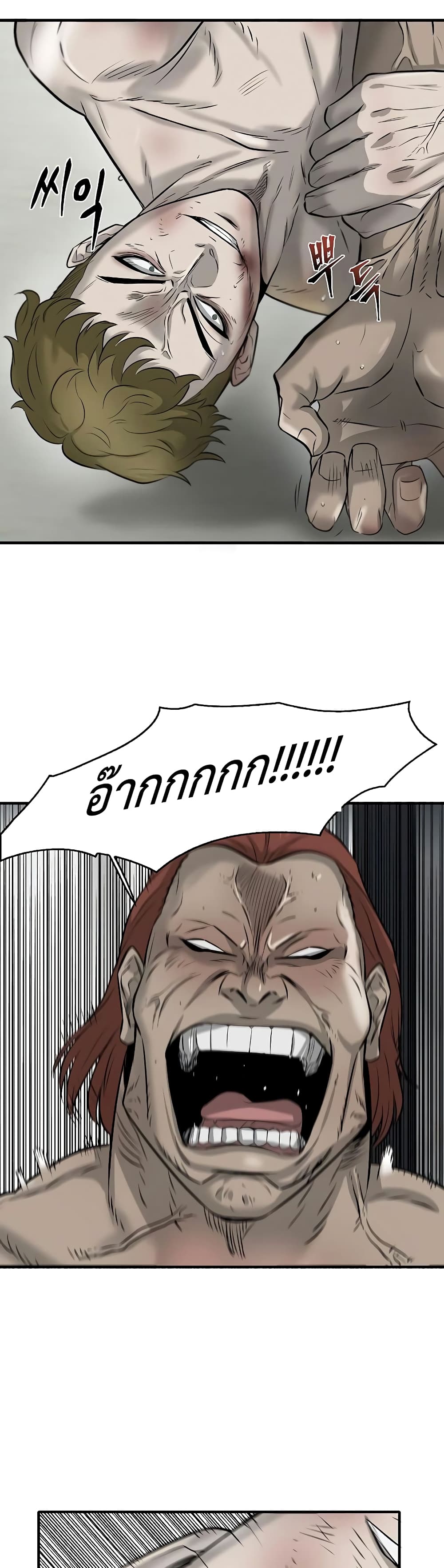 Mujin 12 29