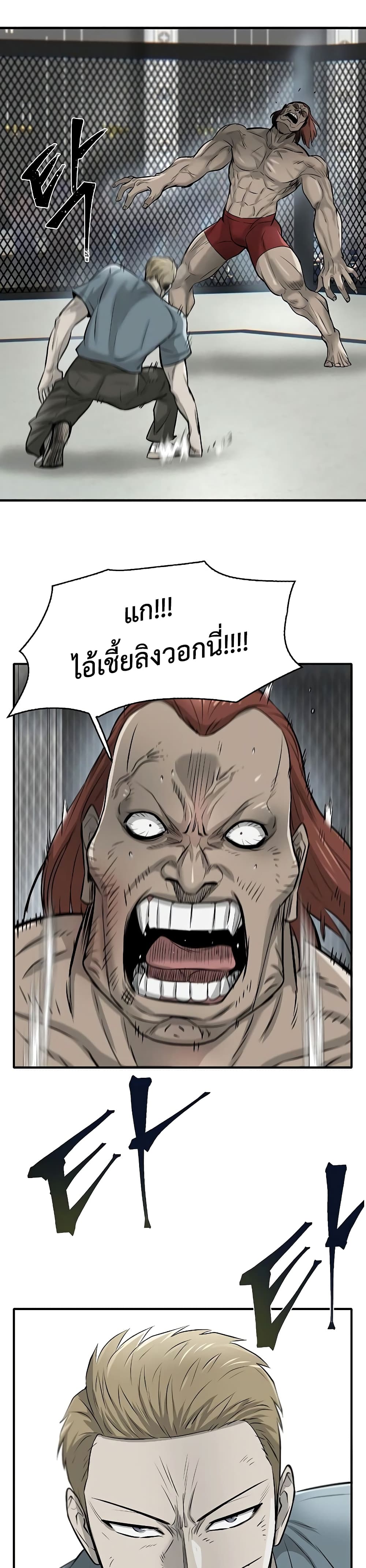 Mujin 13 16