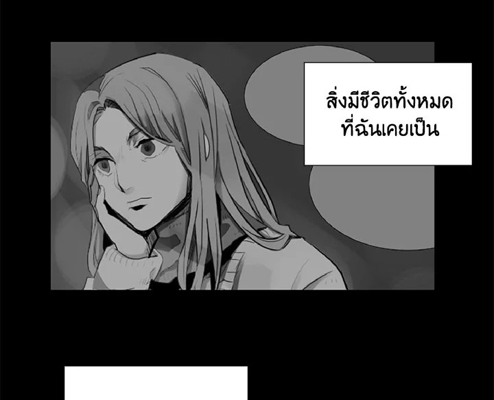 Reseter 8 06