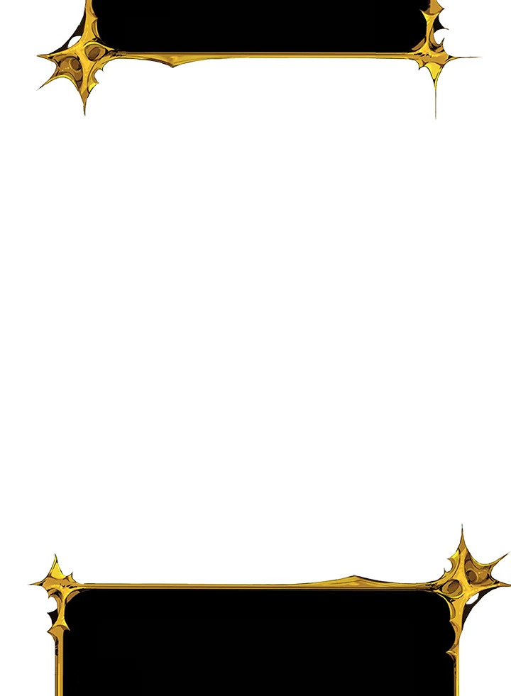 Solo Login 80 029
