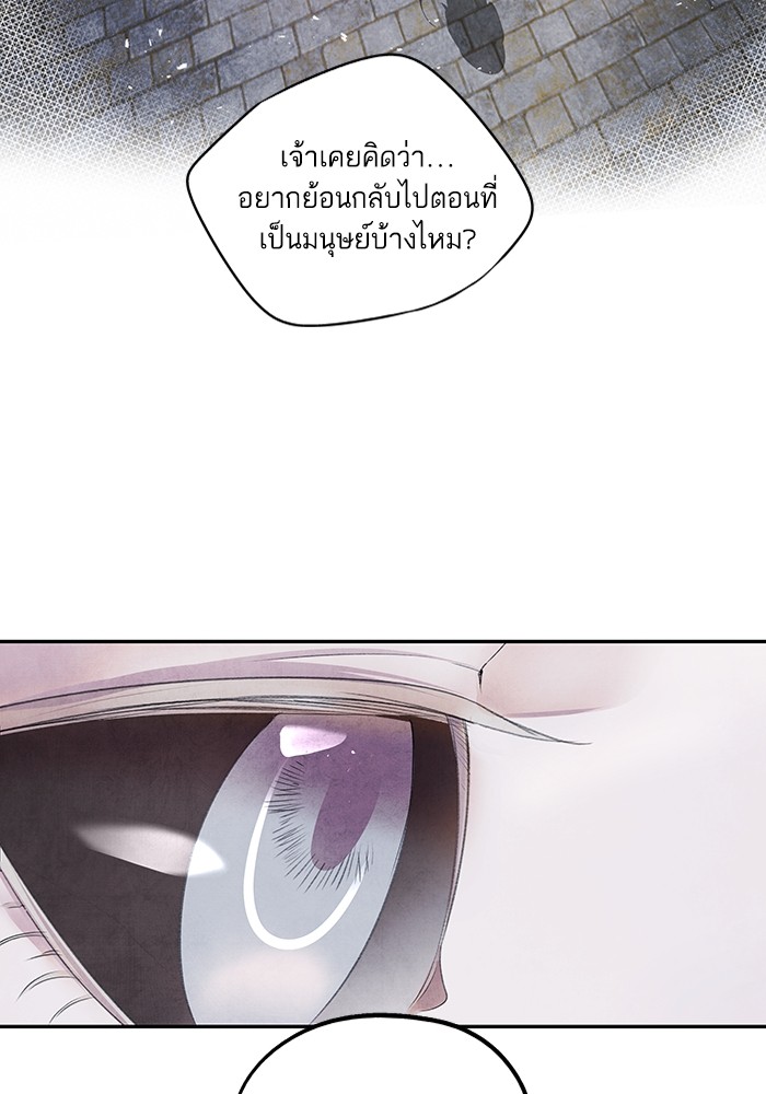 11 (35)