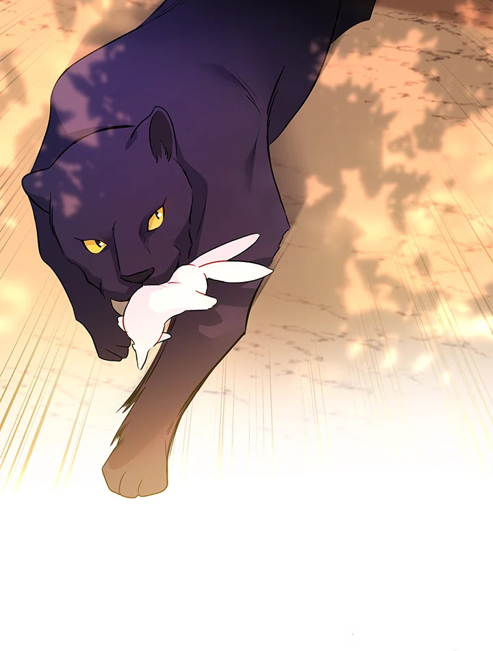 The Symbiotic Relationship Between a Panther and a Rabbit 27 104