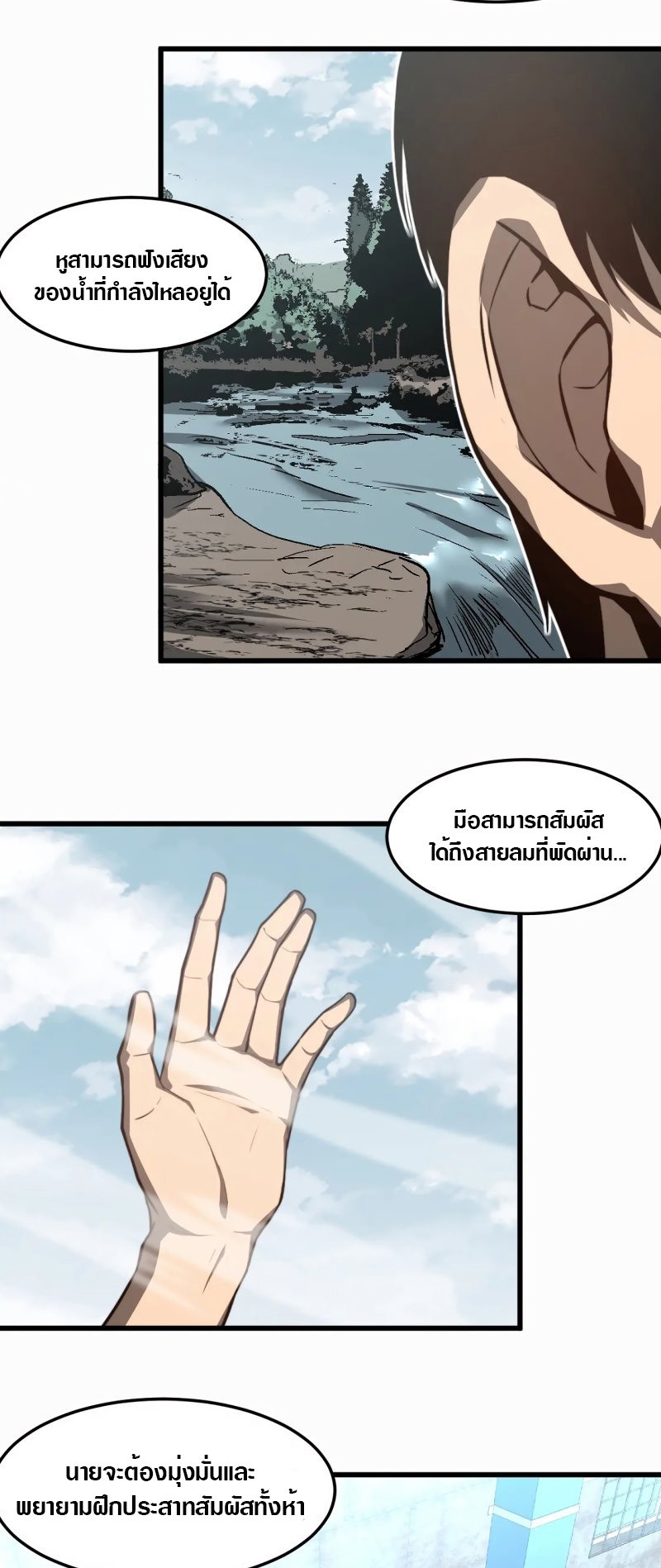 super evolution 56 43