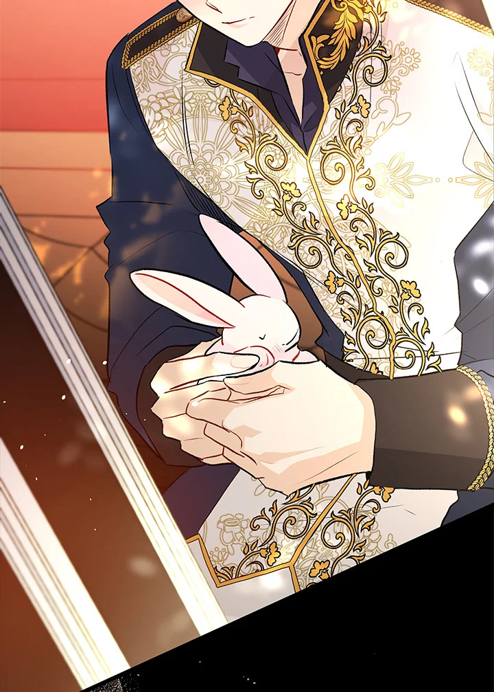 The Symbiotic Relationship Between a Panther and a Rabbit 26 134