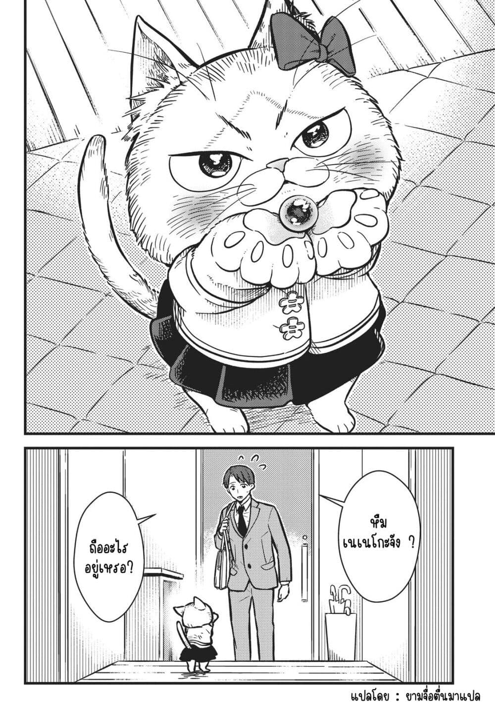 My Sister, the Cat ตอนที่ 1 (4)