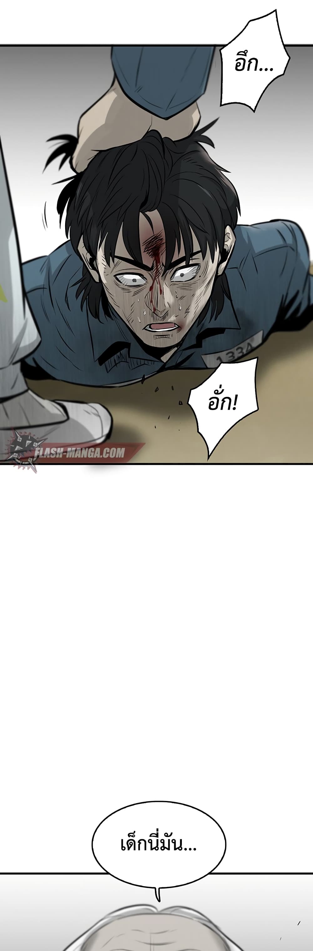 Mujin 1 021