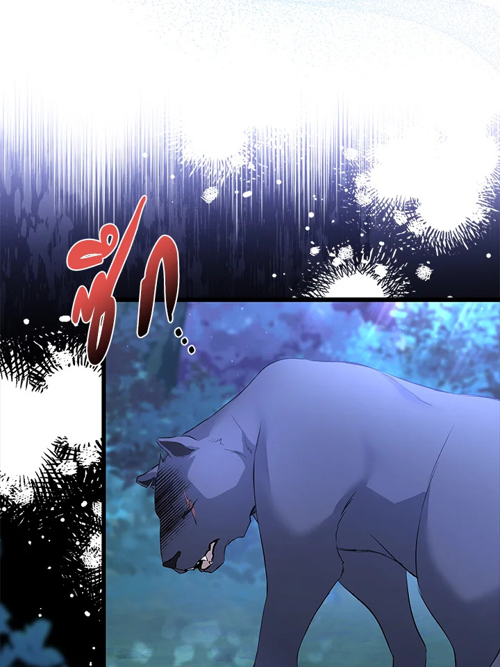 The Symbiotic Relationship Between a Panther and a Rabbit 50 020