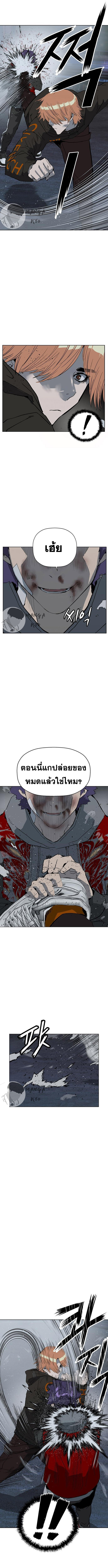 WEAK HERO 242 07