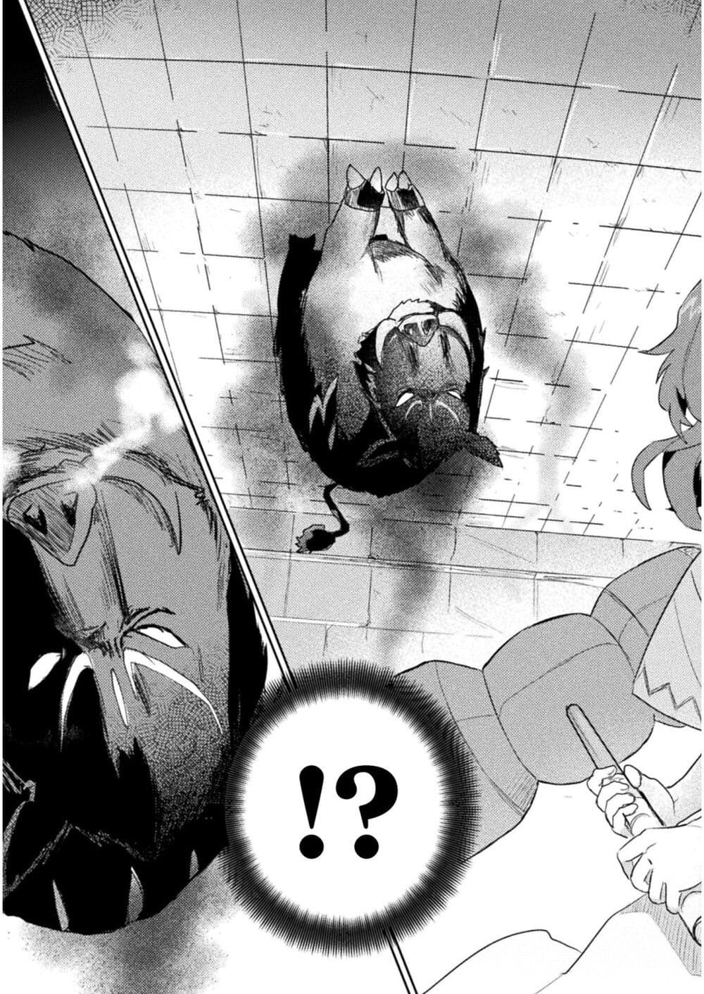 Hore Shou no Half Elf san ตอนที่ 11 (11)