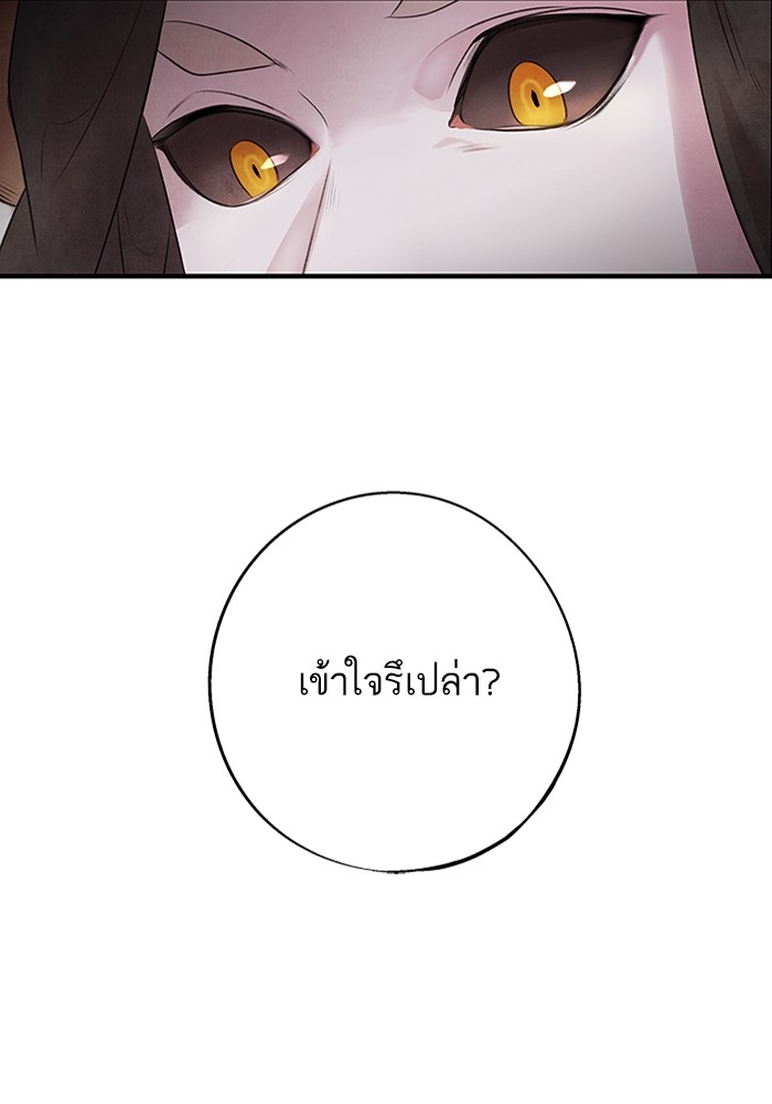 8 (65)