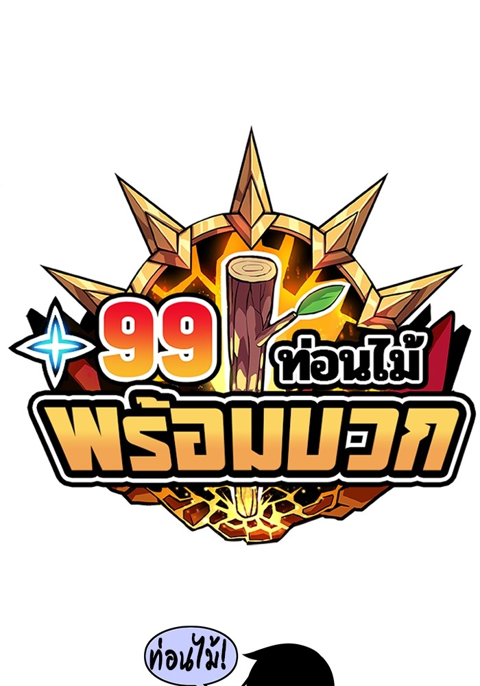 +99 Wooden Stick 80 (41)