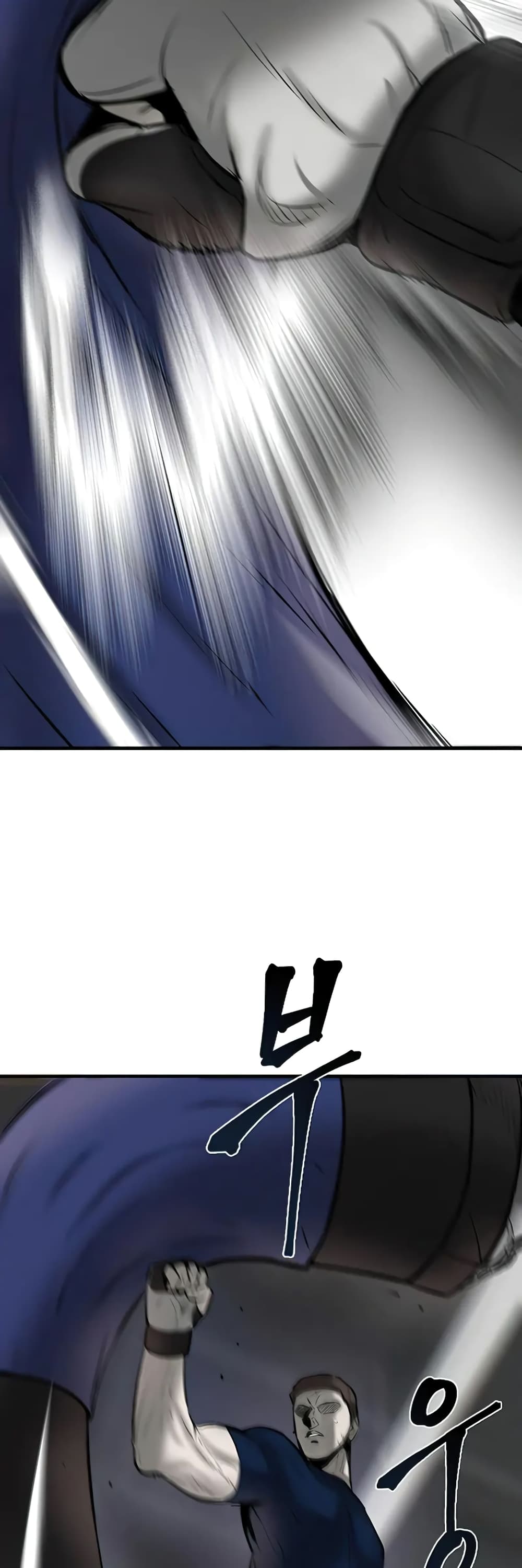 Mujin 7 057