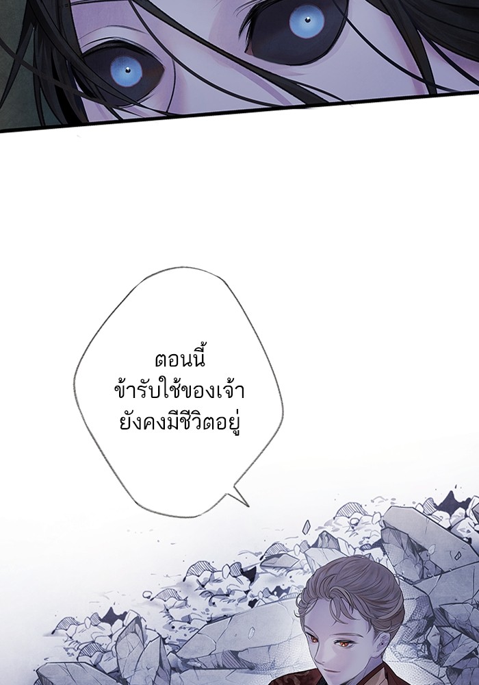 5 (48)