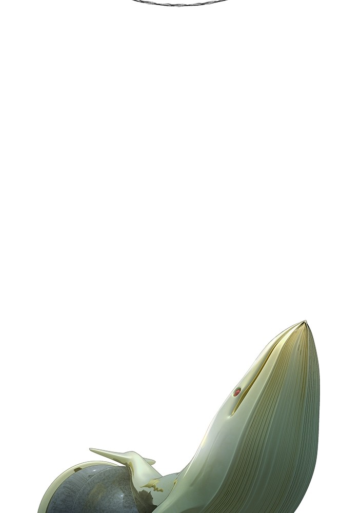 243