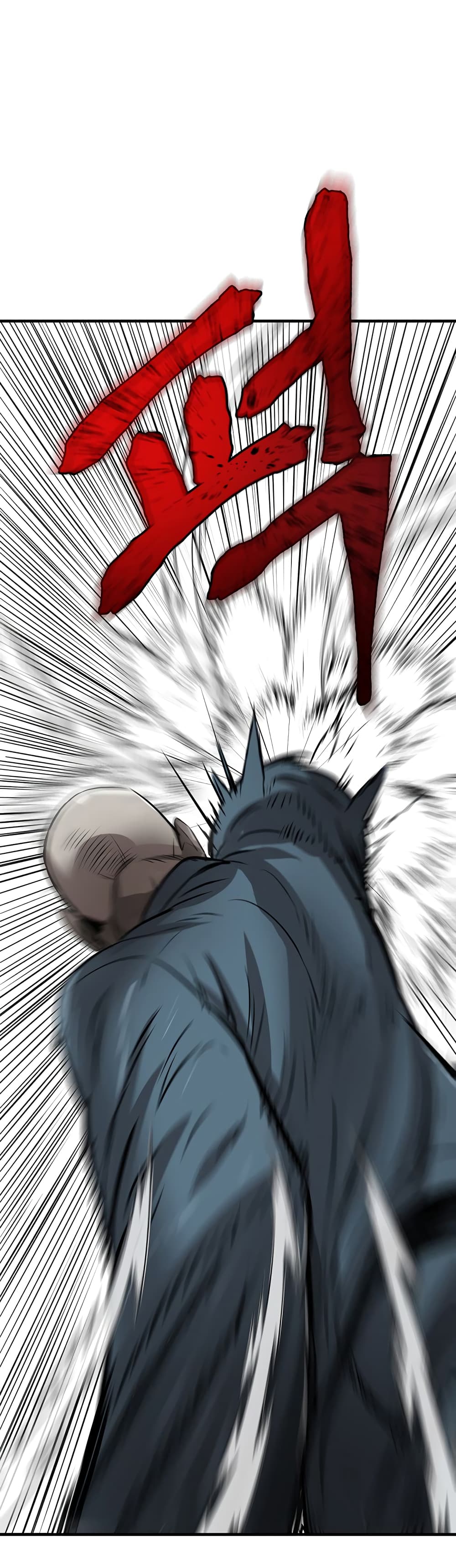 Mujin 2 098