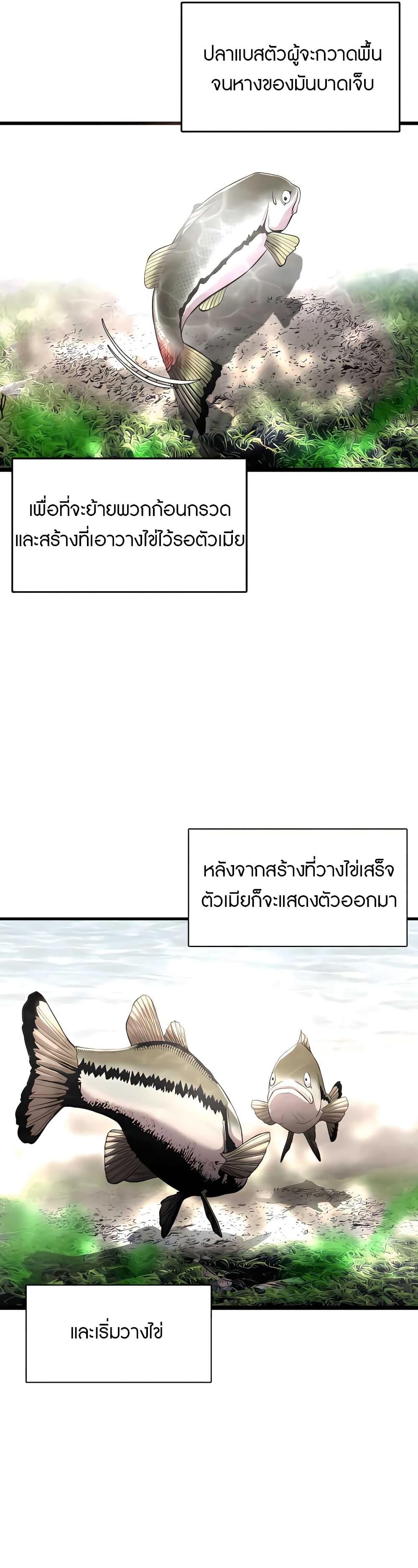 Reincarnated As a Fish ตอนที่ 3 (13)