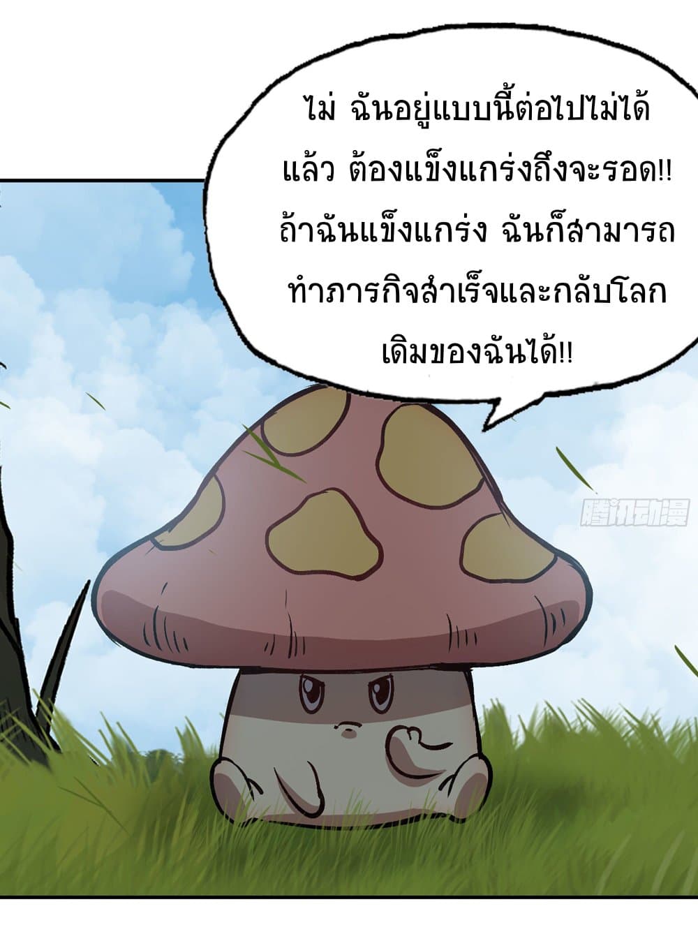 Mushroom Brave 13 (13)