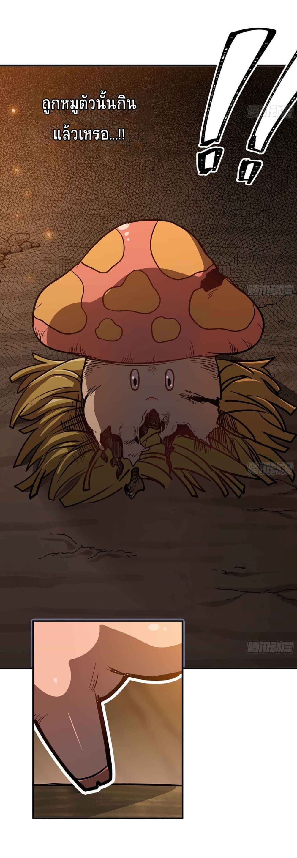 Mushroom Brave 9 (13)
