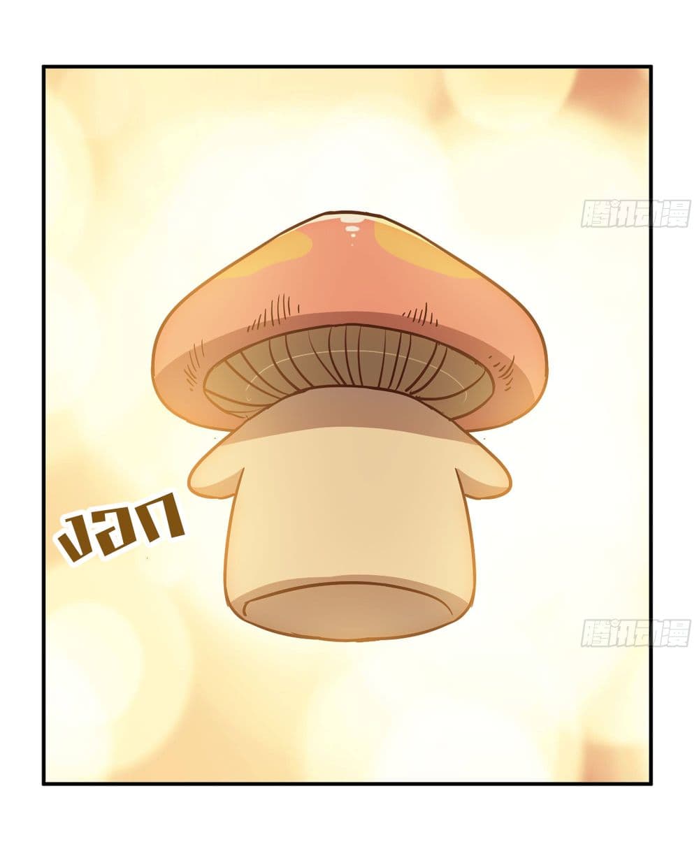 Mushroom Brave 10 30